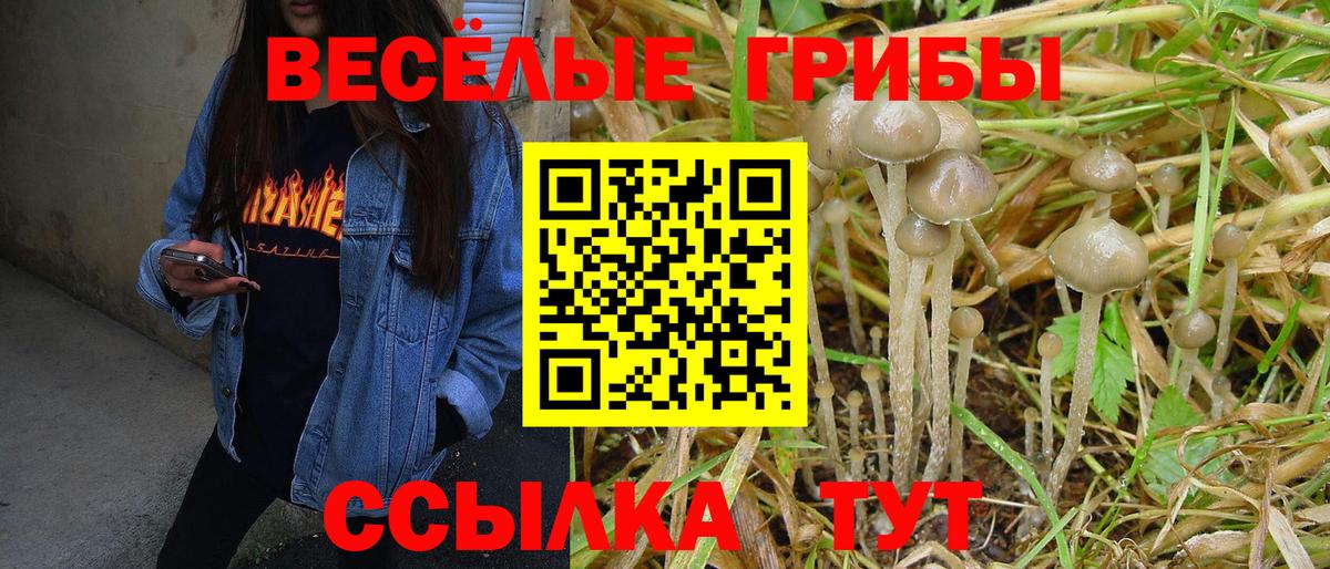 Городец  Галлюциногенные грибы Psilocybe  купить наркотики сайты  Вход с VPN  Галлюциногенные грибы ЛСД 